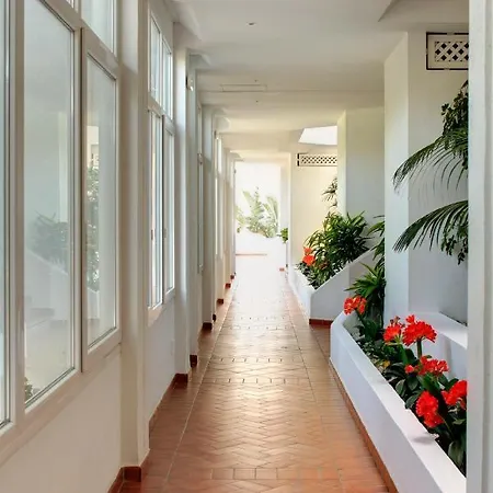 Apartment Wonderful Penthouse 3 Bedrooms In Puerto Banus -marbella Marbella