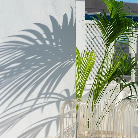Apartmán Wonderful Penthouse 3 Bedrooms In Puerto Banus -marbella